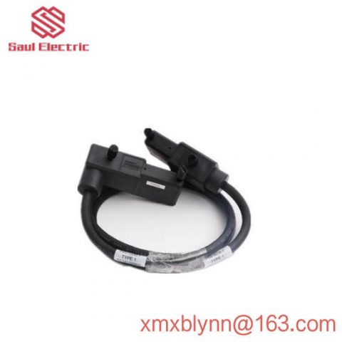 Foxboro P0916DB - I/A Series Control Module