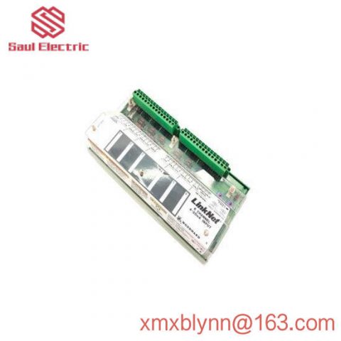 Woodward 9905-969 Analog Input Module for Industrial Automation Solutions