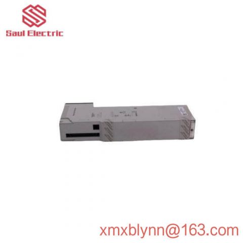 SCHLEICHER UST21 High Precision Analog Input Module